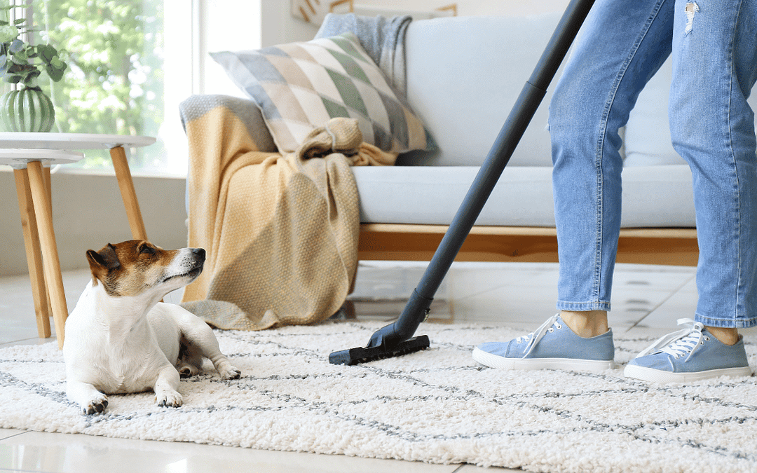 Discover top-rated carpet cleaners in San Francisco Bay Area for deep cleaning