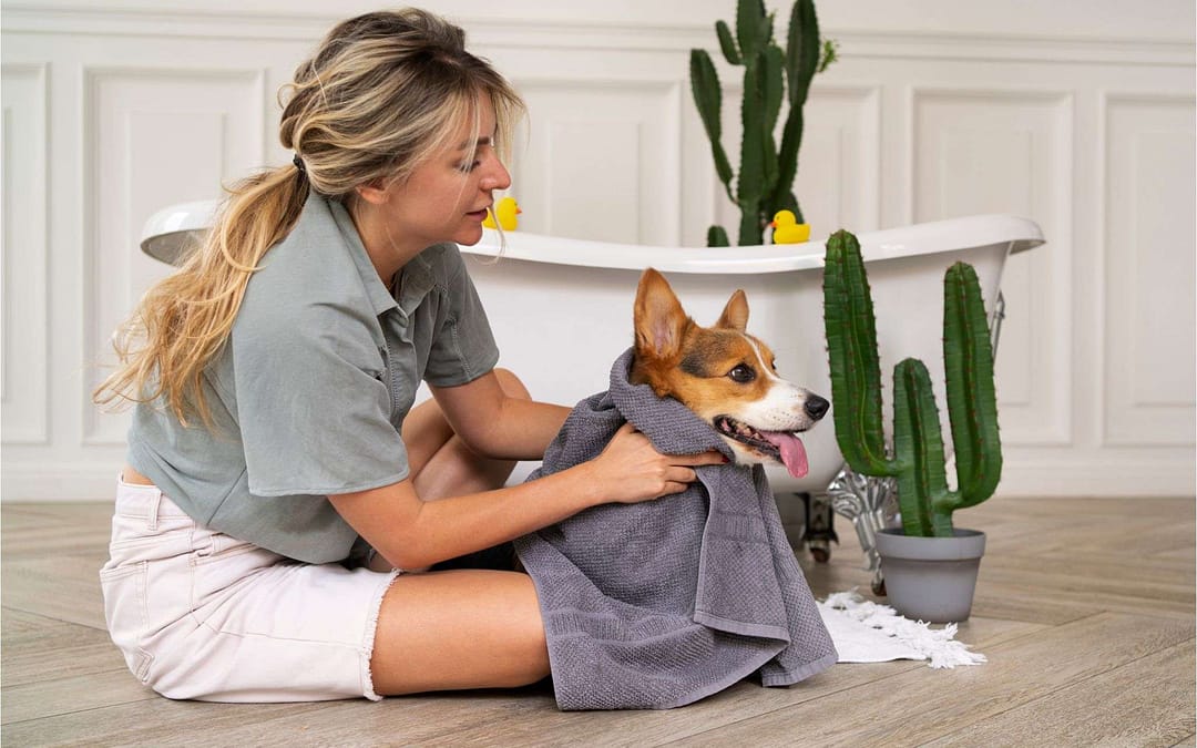 house cleaning for pet owners in redwood city