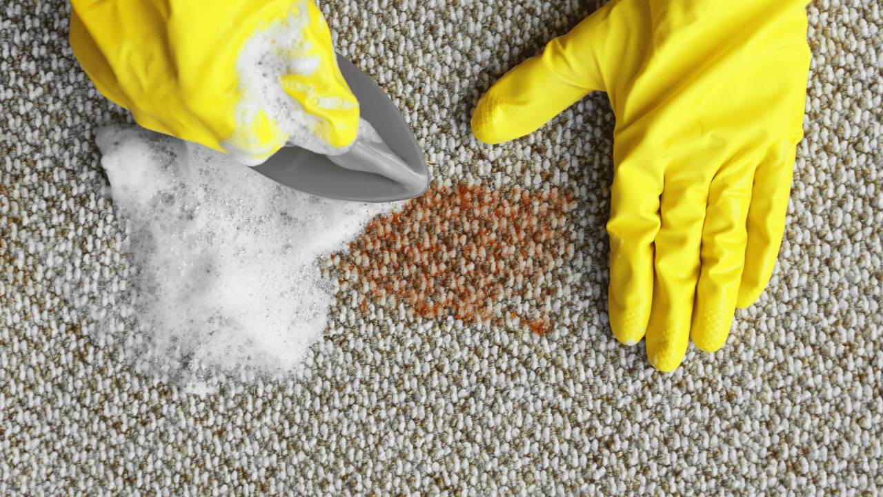 carpet cleaners in San Francisco bay area
