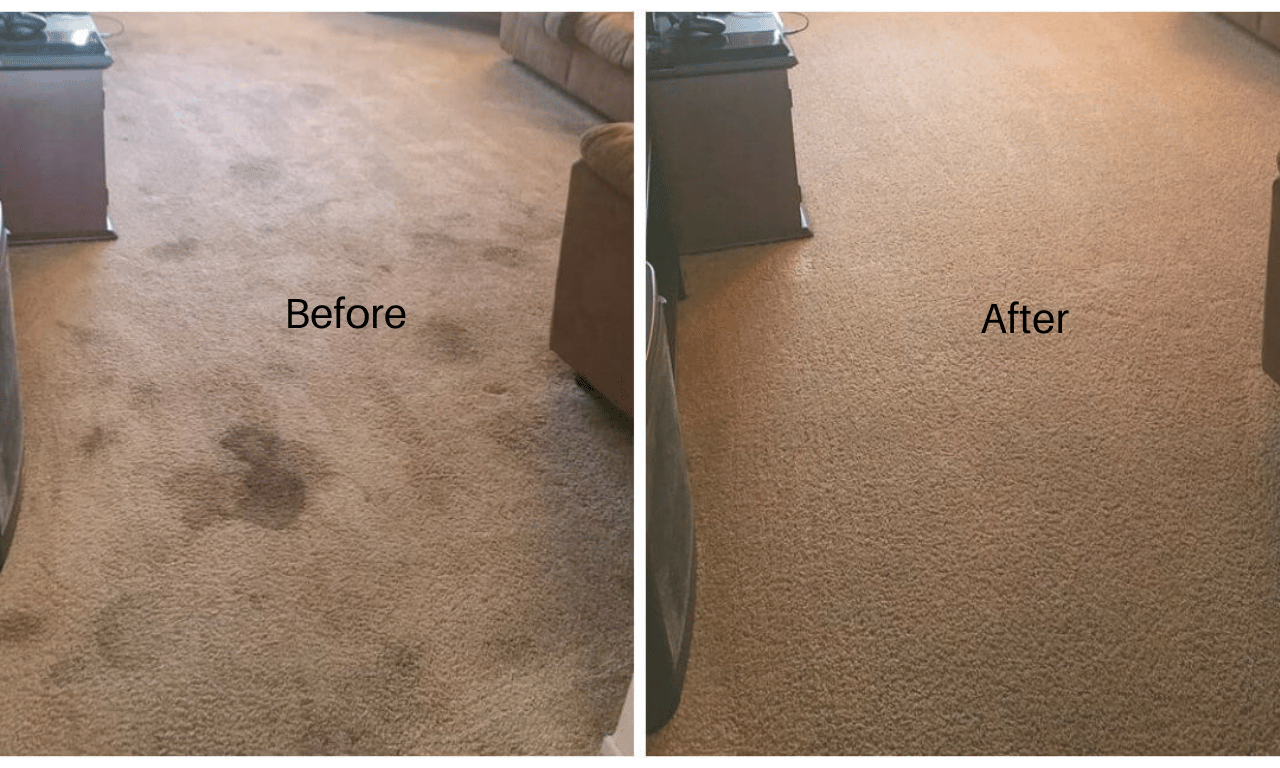 Maid Service Today Cleaning Before and After (15) carpet cleaners in san francisco bay area